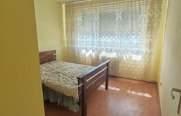 Apartament cu 2 camere de vanzare - zona Decebal