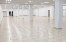 Spatiu comercial de inchiriat, 800 mp, locatie vizibila - Centura Bistritei