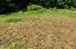 Teren extravilan de vânzare, 1.100 mp - zona Dealul Jelnei
