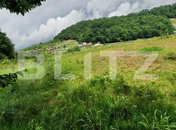 Teren de vânzare Exterior Sud - 196923TV | BLITZ Bistriţa | Poza2