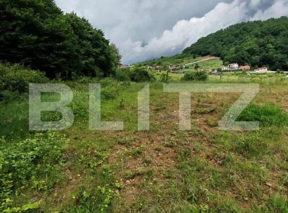 Teren de vânzare Exterior Sud - 196923TV | BLITZ Bistriţa | Poza1