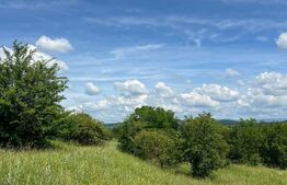 Teren Extravilan de vanzare 3000 m - zona Viisoara