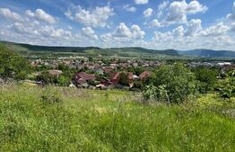 Teren Extravilan de vanzare 3000 m - zona Viisoara