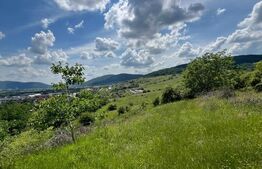 Teren Extravilan de vanzare 3000 m - zona Viisoara
