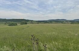 5500 mp de teren extravilan, direct la drumul national