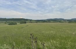 5500 mp de teren extravilan, direct la drumul national