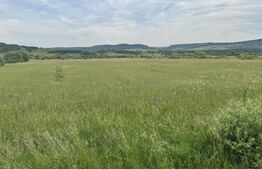 5500 mp de teren extravilan, direct la drumul national