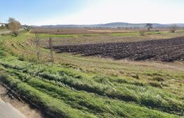 Oportunitate! 59 ari teren agricol la doar 13.000 €