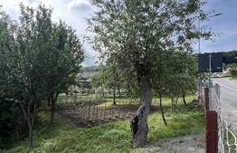 Casa pe 3 nivele si 13 arii teren 
