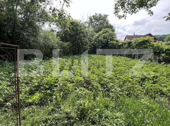 Casa de vânzare 10 camere Est - 197254CV | BLITZ Bistriţa | Poza13