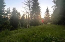 Teren intravilan PARCELABIL de vânzare  – Colibița