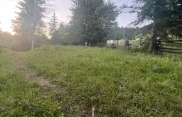 Teren intravilan PARCELABIL de vânzare  – Colibița