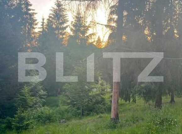 Teren de vânzare Exterior Est - 197255TV | BLITZ Bistriţa | Poza7