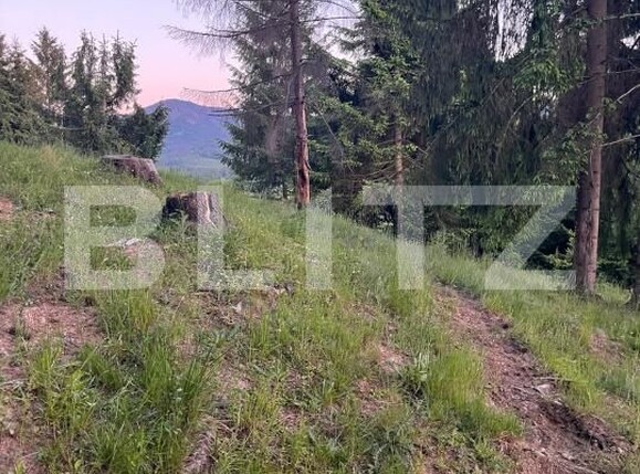Teren de vânzare Exterior Est - 197255TV | BLITZ Bistriţa | Poza3