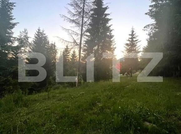Teren de vânzare Exterior Est - 197255TV | BLITZ Bistriţa | Poza9
