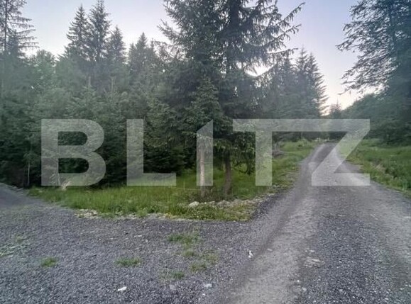 Teren de vânzare Exterior Est - 197255TV | BLITZ Bistriţa | Poza6
