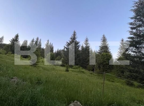Teren de vânzare Exterior Est - 197255TV | BLITZ Bistriţa | Poza4