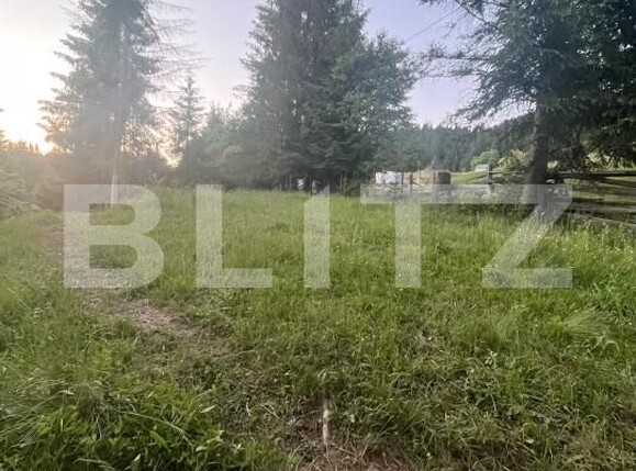 Teren de vânzare Exterior Est - 197255TV | BLITZ Bistriţa | Poza8