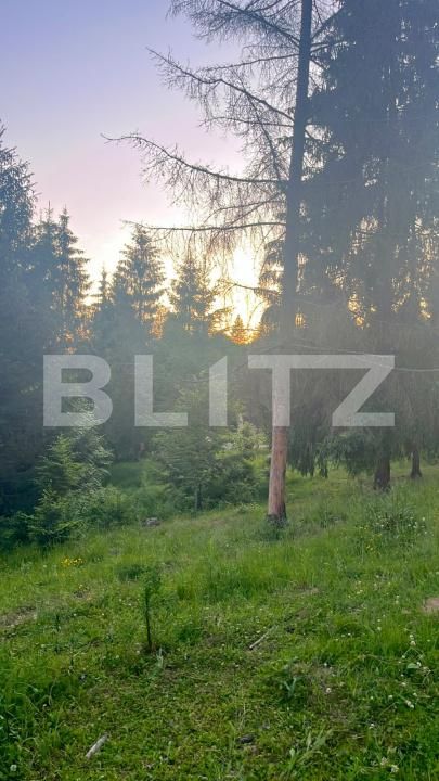 Teren de vânzare Exterior Est - 197255TV | BLITZ Bistriţa | Poza7