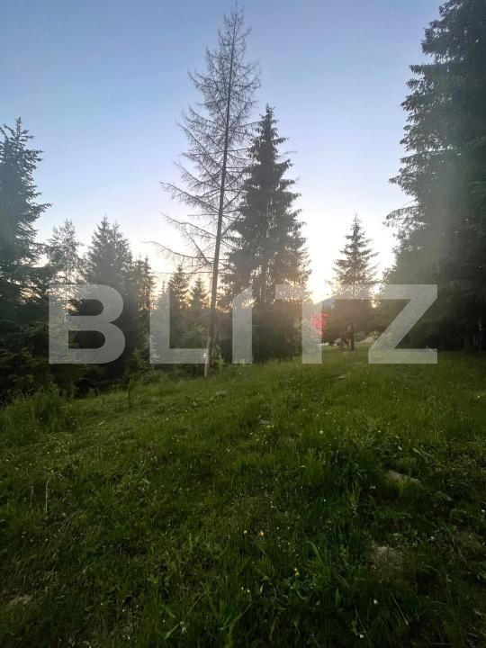 Teren de vânzare Exterior Est - 197255TV | BLITZ Bistriţa | Poza9