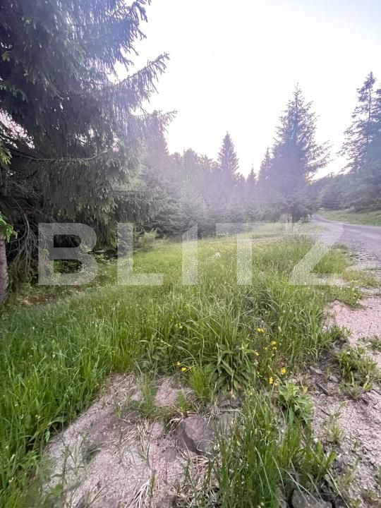 Teren de vânzare Exterior Est - 197255TV | BLITZ Bistriţa | Poza5