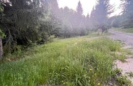 Teren intravilan parcelabil de vânzare  – Colibița