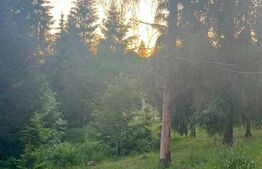 Teren intravilan parcelabil de vânzare  – Colibița