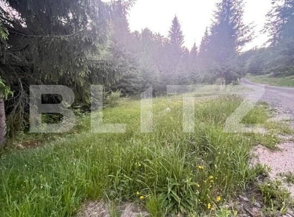 Teren de vânzare Exterior Est - 197259TV | BLITZ Bistriţa | Poza5