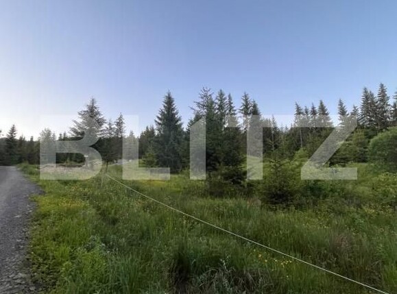 Teren de vânzare Exterior Est - 197259TV | BLITZ Bistriţa | Poza2