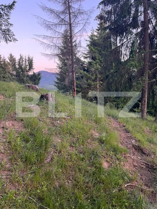 Teren de vânzare Exterior Est - 197259TV | BLITZ Bistriţa | Poza3