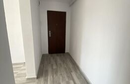 Apartament de vânzare, 2 camere, etaj intermediar, zona Decebal