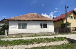 Casa de vânzare, strada principală, Viile Tecii