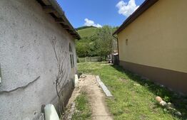 Casa de vânzare, strada principală, Viile Tecii