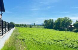 Teren de vânzare, 2750 mp, în Jelna
