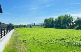 Teren de vânzare, 2750 mp, în Jelna