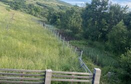 EXCLUSIVITATE COMISION 0%! Casa nouă P+E, 120 mp, 1.400 mp teren, Budacu de Sus