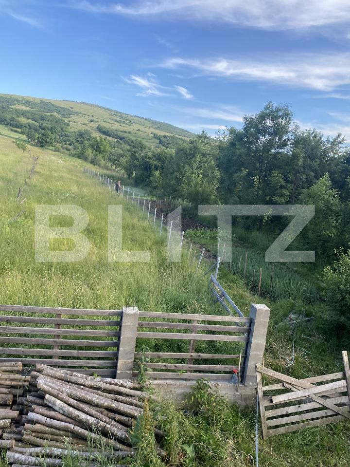 Casa de vânzare 4 camere Budacu de Sus - 197347CV | BLITZ Bistriţa | Poza2