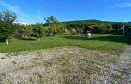 Teren de vanzar 1.000 mp cu utilități, livadă, vie și posibilitate de construire