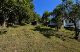 Casa cu teren extins, 101 mp, Bistrita