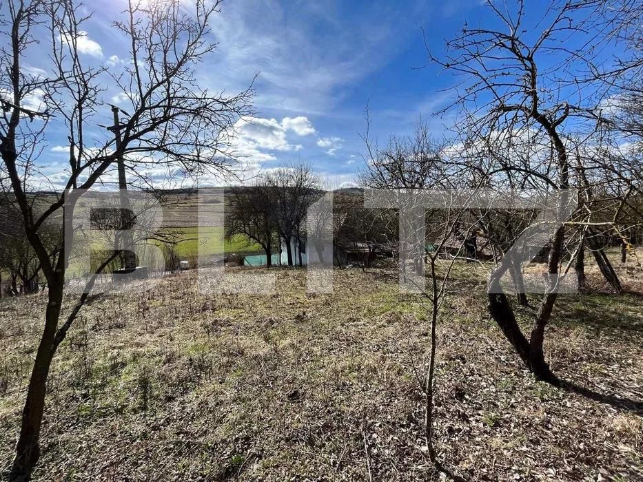 Casa de vânzare 2 camere Nord-Vest - 197533CV | BLITZ Bistriţa | Poza3
