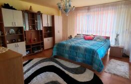 Casa de vanzare, 5 camere, garaj si teren 5000 mp - 30 km de Bistrița