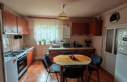 Casa de vanzare, 5 camere, garaj si teren 5000 mp - 30 km de Bistrița