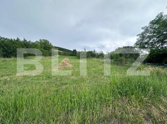 Casa de vânzare 5 camere Exterior Nord - 197654CV | BLITZ Bistriţa | Poza13