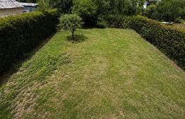 Casa de vanzare, 200 mp + teren de 1.200 mp - Unirea