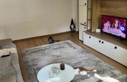 Apartament 2 camere, parter – Calea Moldovei, lângă OMV