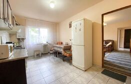 Apartament 2 camere, etaj 1, bloc izolat, parcare – zona Han, Aleea Rotundă