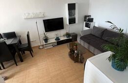 Apartament cu 2 camere, 46 mp - in Subcetate