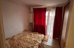 Apartament 1 camera, zona Valeria Peter Predescu
