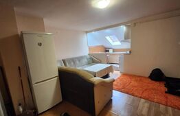 Apartament 1 camera, zona Valeria Peter Predescu