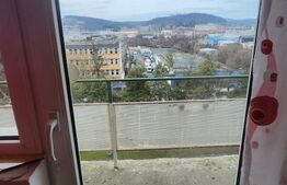 Apartament 1 camera, zona Valeria Peter Predescu